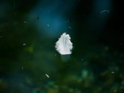 Cours en Miracles -  Découverte d'un Chemin Spirituel Transformateur